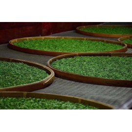 Thé vert Enshi Yu Lü est l'un des rare thé vert chinois qui est passé à la vapeur et non au wok pour stopper  l'oxydation